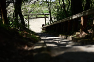 福島・大内宿、階段上から見下ろす鳥居と石段が織りなす静寂の風景（撮影:Nikon Z50）