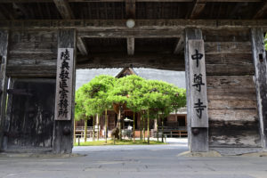 岩手・中尊寺、歴史を感じる木造門越しに手入れされた松と本堂を望む情景（撮影:Nikon Z6III）