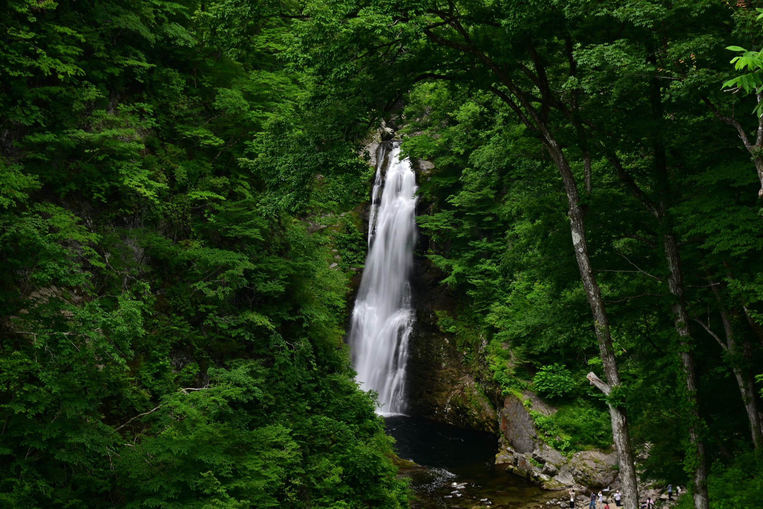 宮城・秋保大滝、日本三大瀑布の名瀑が森林に囲まれた絶景（撮影:Nikon Z6III）