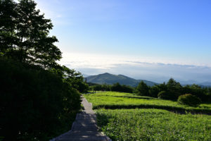 日光・霧降高原キスゲ平園地、早朝に広がる雲海と絶景の景色（撮影:Nikon Z6III）