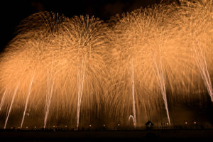 日本三大花火大会の一つ、新潟・長岡まつり大花火大会の夜空に咲く大華「フェニックス」（撮影:Nikon Z6III）