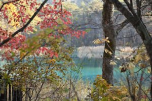福島・五色沼、紅葉した木々の間から望む青沼のエメラルドグリーンが美しい秋の絶景（撮影:Nikon Z50）