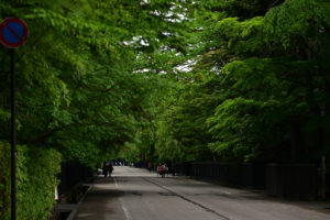 角館武家屋敷通り