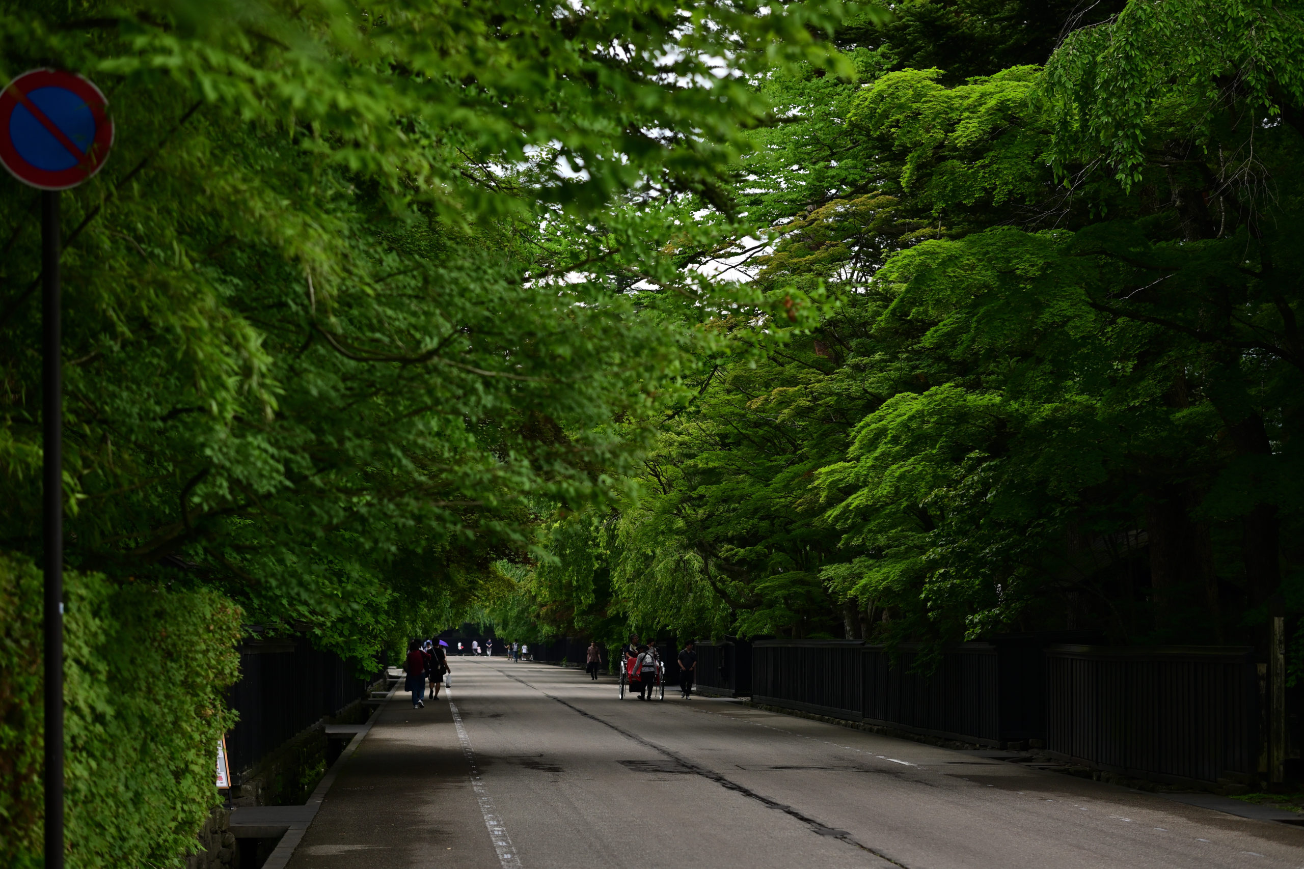 角館武家屋敷通り